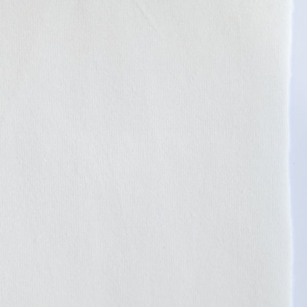 Modal Cotton Spandex (American Milled)