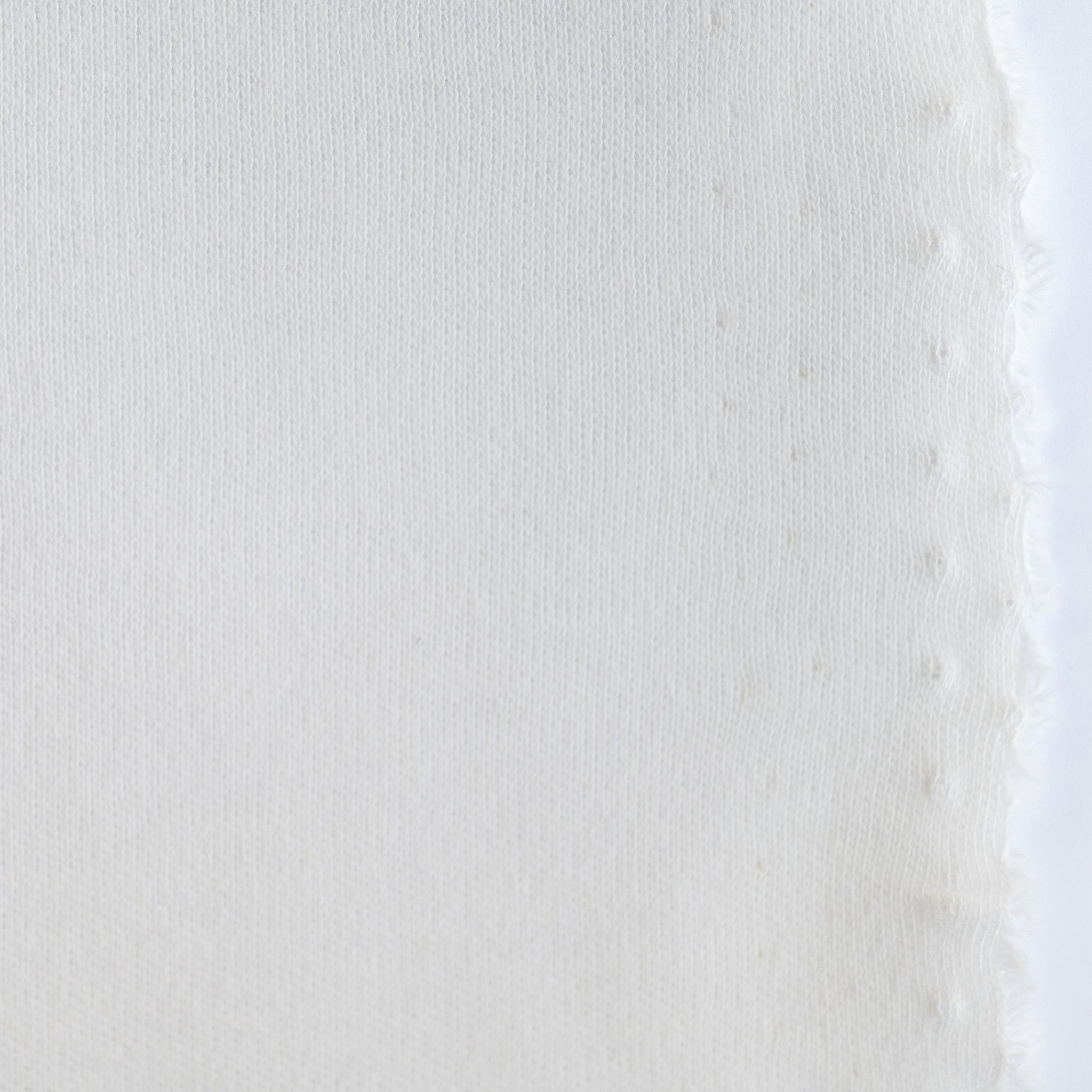 Organic Cotton Interlock (American Milled) - Image 2