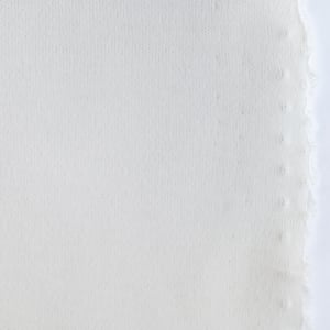 Organic Cotton Interlock (American Milled) - Image 2