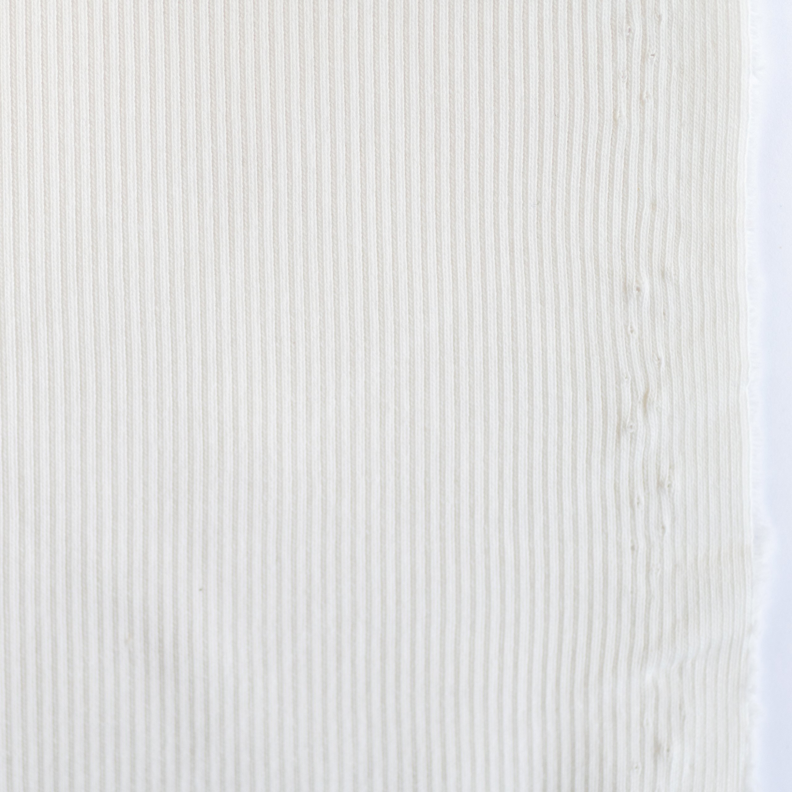 Organic 2x1 Rib (American Milled) - Image 2