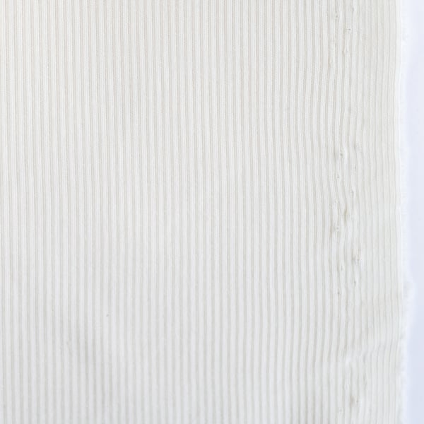 Organic 2x1 Rib (American Milled)