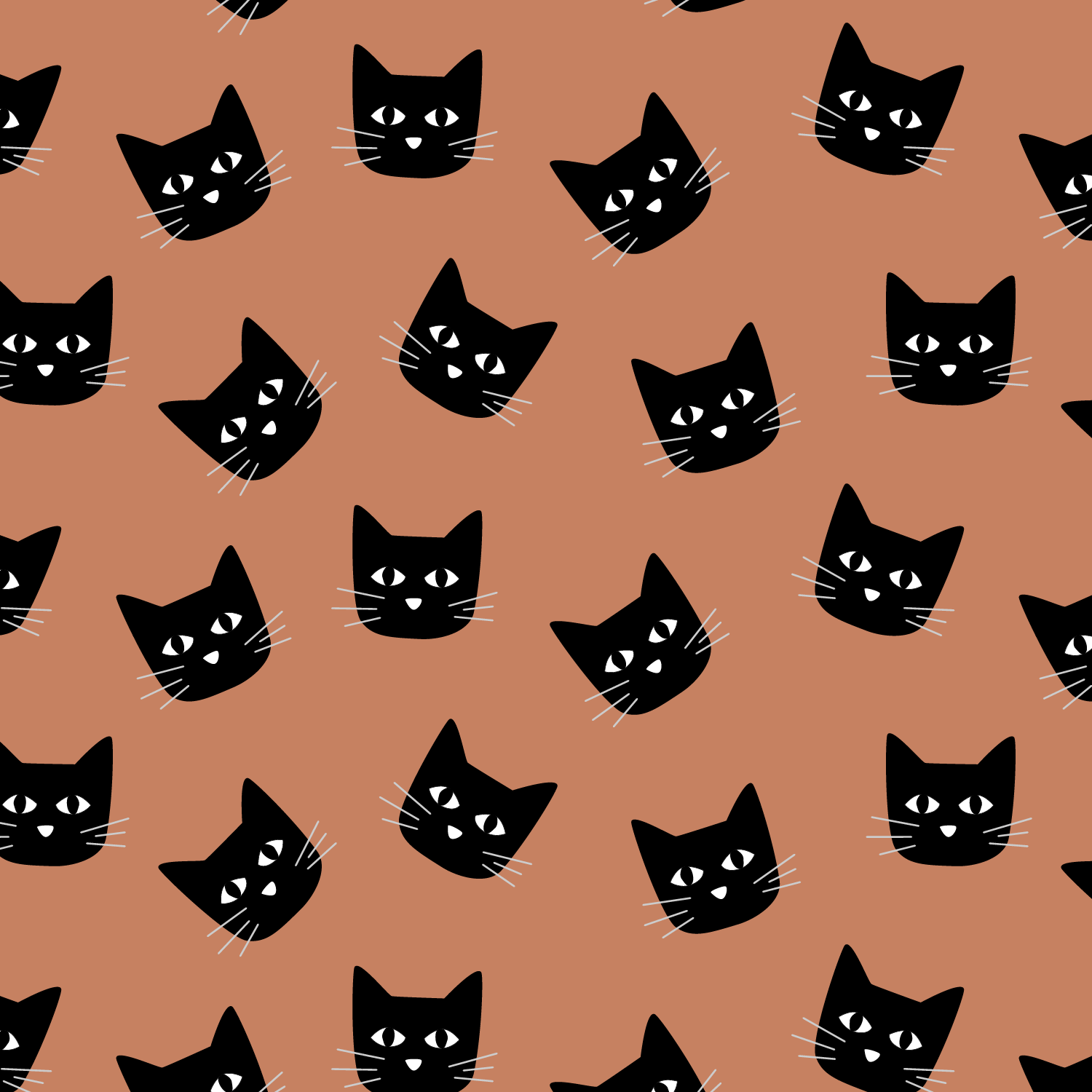 black cats