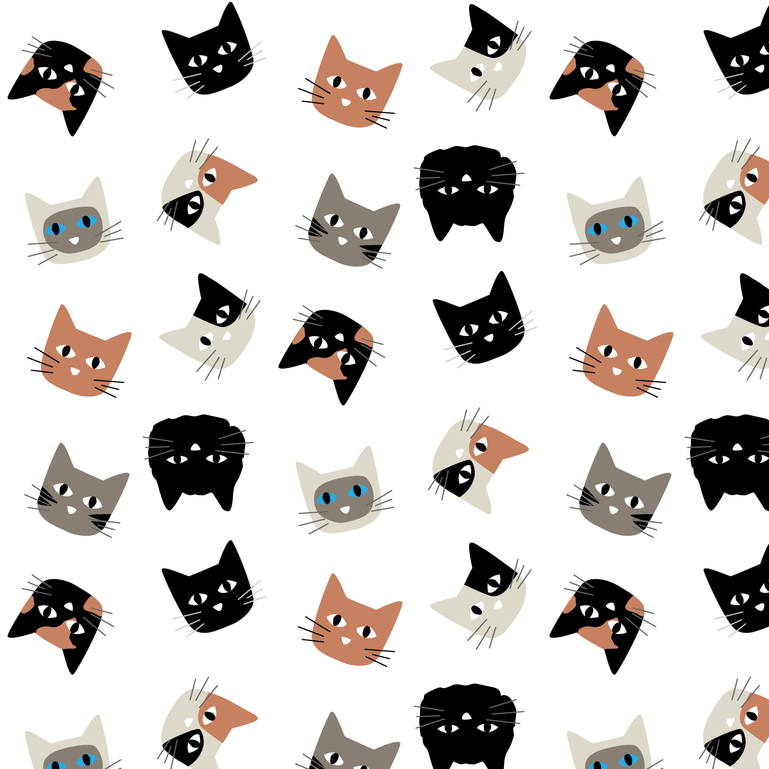 tossed cats