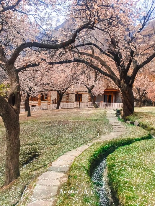 12-Day Hunza, Skardu, Fairy Meadows & Islamabad