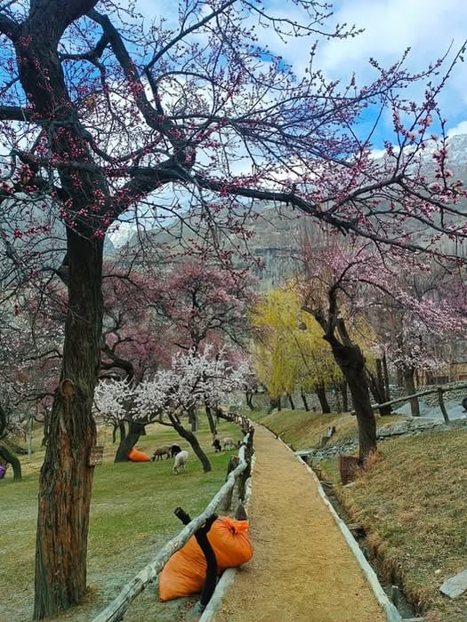 10-Day Skardu, Manthokha & Basho Valley Group Tour