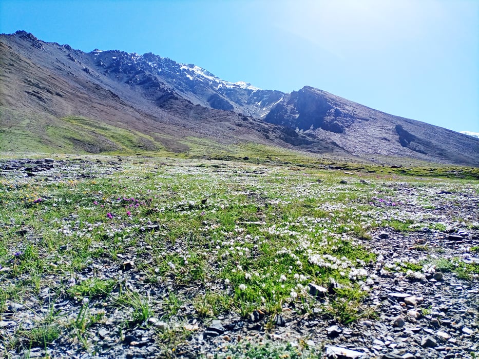 Shimshal Pass Trek & Minglik Sar 6050m Climbing