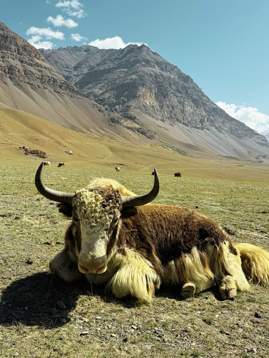 10-Day Wakhan Corridor — Karambar Lake & Kalash
