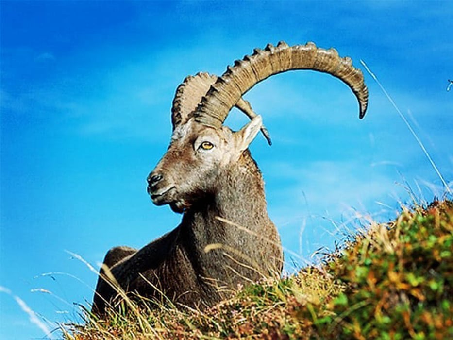 8-Day Shandur Polo Festival Tour