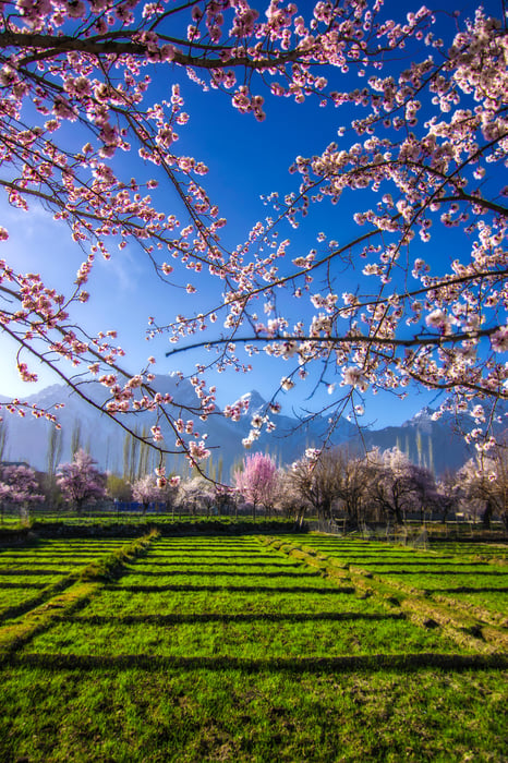 Skardu, Shigar, And Deosai (By Air) 5 Days Tour