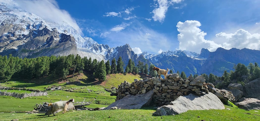 Haramosh Valley Trek