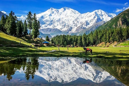 11 Days Fairy Meadows, Skardu & Hunza Tour
