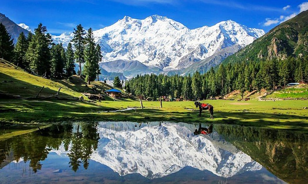 11 Days Fairy Meadows, Skardu & Hunza Tour