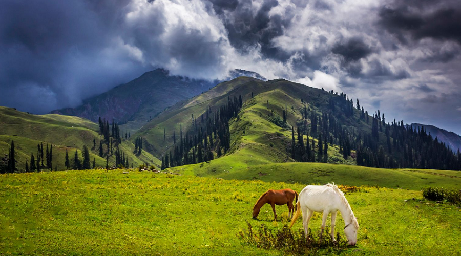 4-Day Kaghan, Shogran, and Saif-ul-Malook Tour