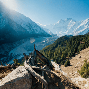 Fairy Meadows
