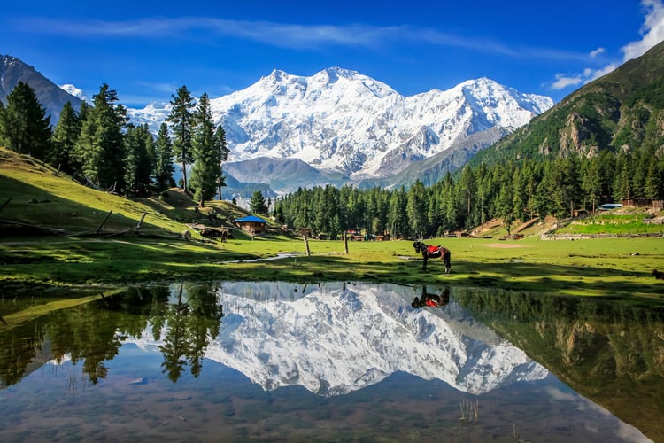 10-Day Karakoram Giants: Rakaposhi & Nanga Parbat