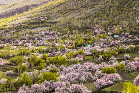 5 Days Skardu Basho Shigar Valley by Air Tour