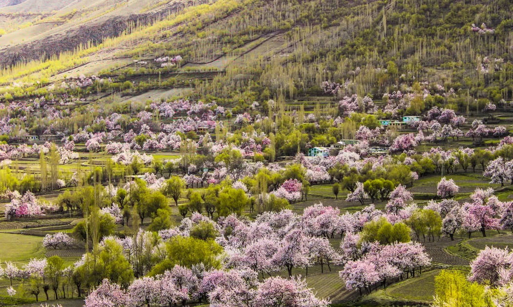 5 Days Skardu Basho Shigar Valley by Air Tour