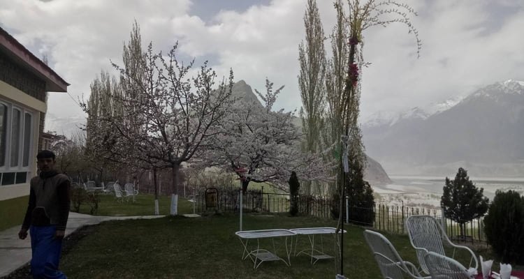08 Days Gilgit, Hunza & Naltar Valley Tour