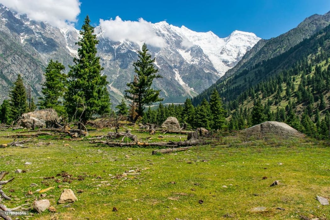 Nanga Parbat Base Camp Trek 2026