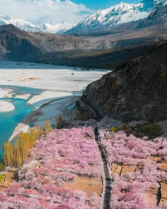 Skardu and Hunza Spring Blossom Tour