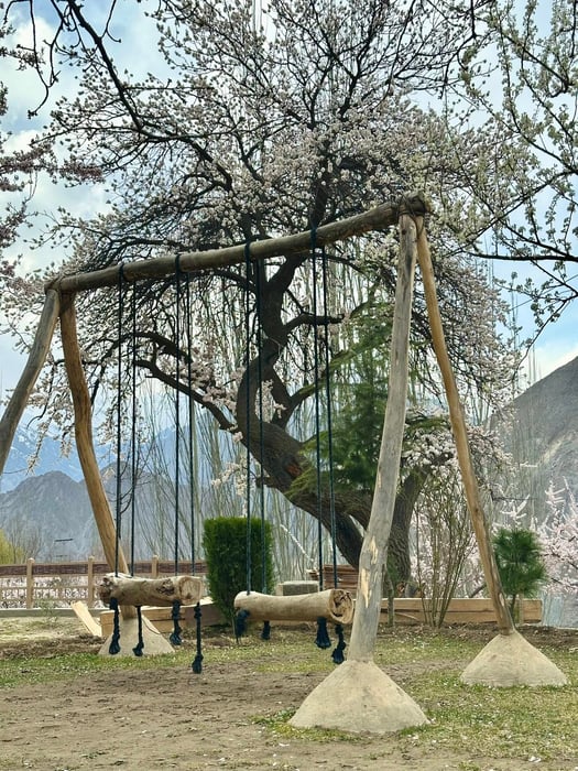 8-Day Hunza, Naltar & Besham Tour