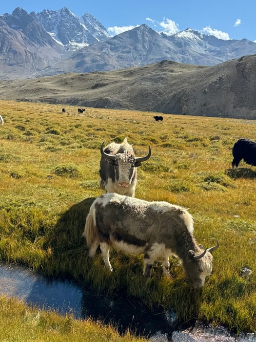 10-Day Wakhan Corridor — Karambar Lake & Kalash