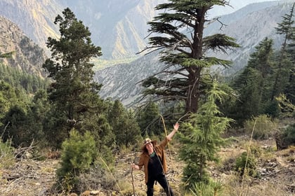 10-Day Nangma Valley Trek: Pakistan's Yosemite