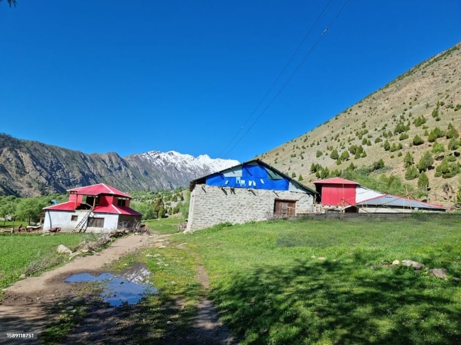 Nanga Parbat Base Camp Trek 2026