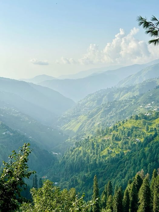 4-Day Galiyat Tour — Murree, Ayubia & Nathiagali