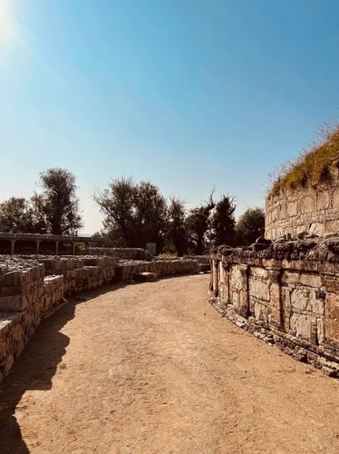 11-Day Buddhist Heritage Journey in Pakistan