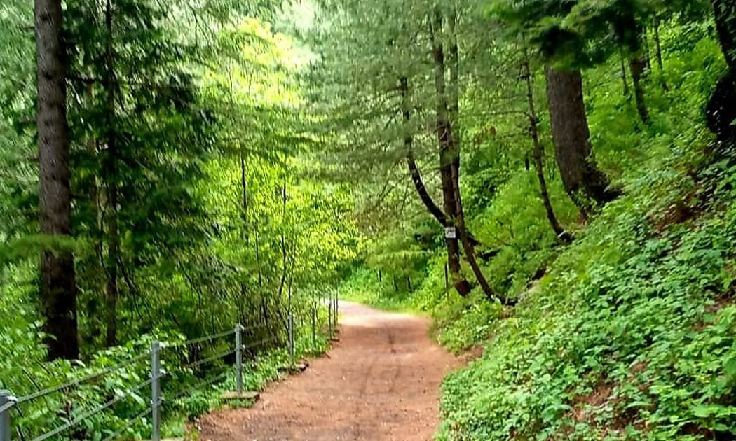 3 Days  Murree Nathia Gali Tour