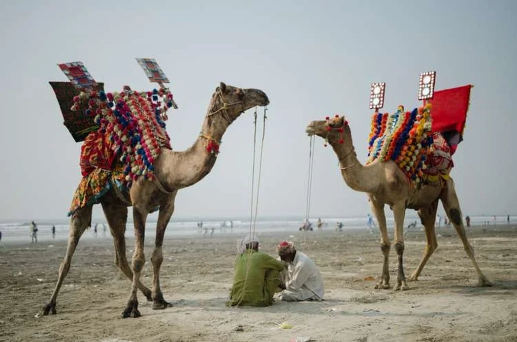 Explore Pakistan's Heritage on a Cultural Tour