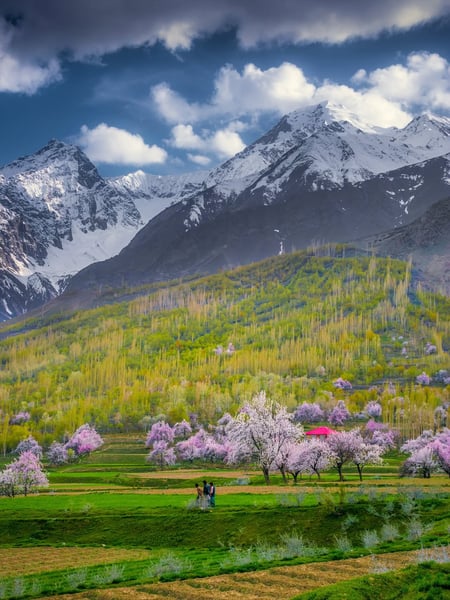 Discover Gilgit Baltistan in Spring Blossom Season