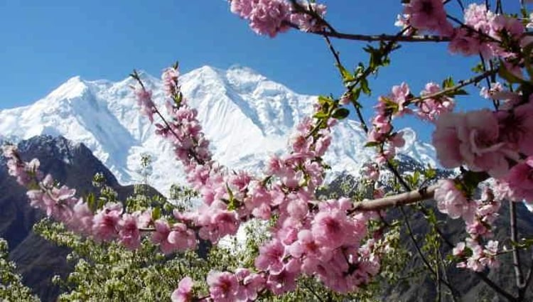 9 Days in Pakistan: Heritage, Landscapes & Legacy