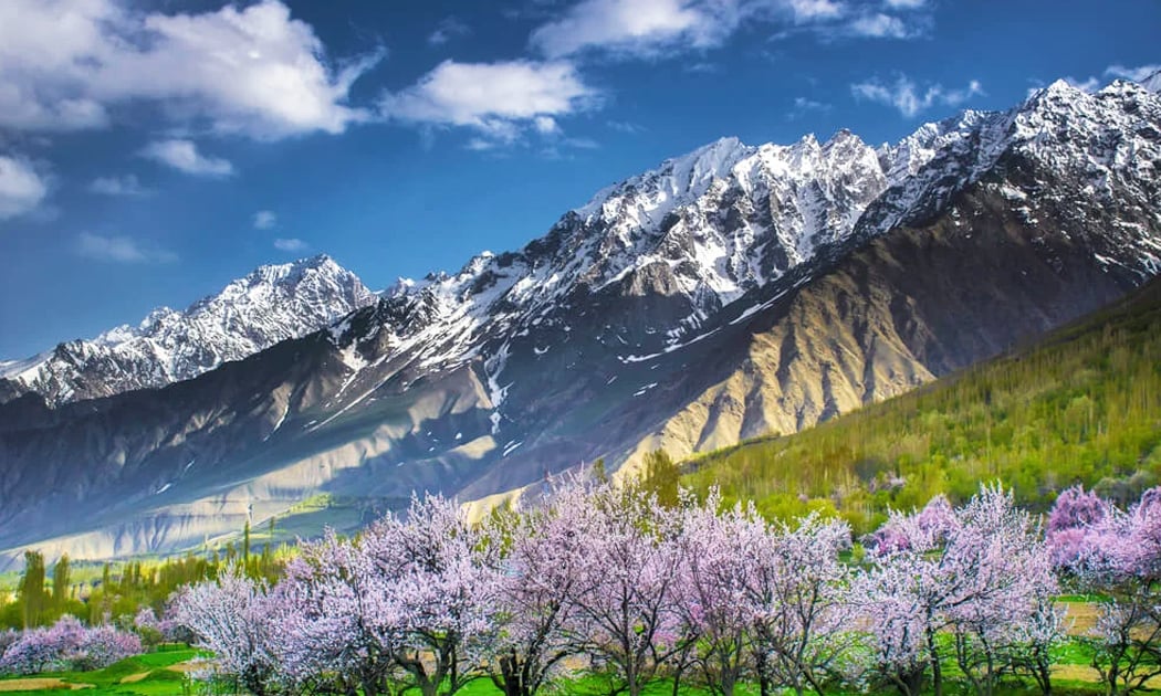 8 Days Skardu & Hunza By Air Tour