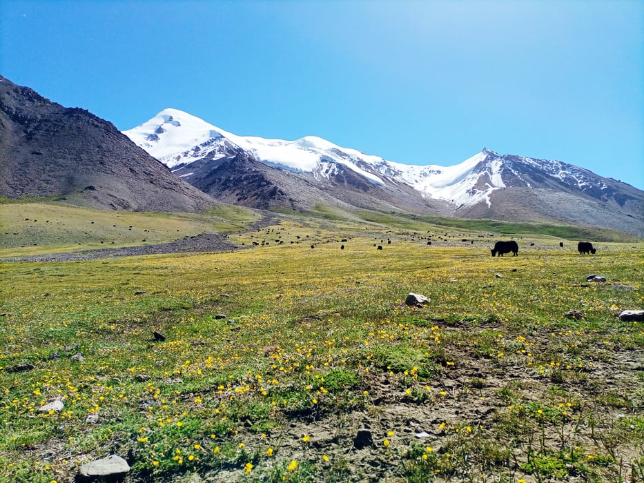 Shimshal Pass Trek & Minglik Sar 6050m Climbing