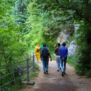 4-Day Galiyat Tour — Murree, Ayubia & Nathiagali