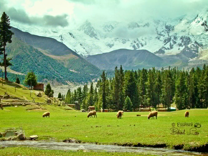 10-Day Karakoram Giants: Rakaposhi & Nanga Parbat