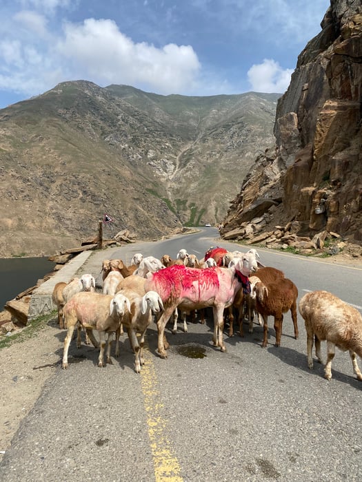 08 Days Islamabad, Hunza & Fairy Meadows Tour