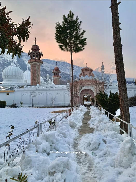 10-Day Tirich Mir Base Camp Group Expedition