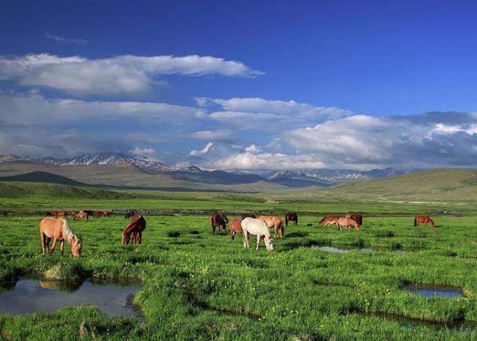 Visit to Deosai - The Land of Giants