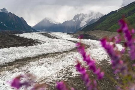Spantik Base Camp Trek - Golden Peak Adventure