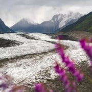 Spantik Base Camp Trek - Golden Peak Adventure