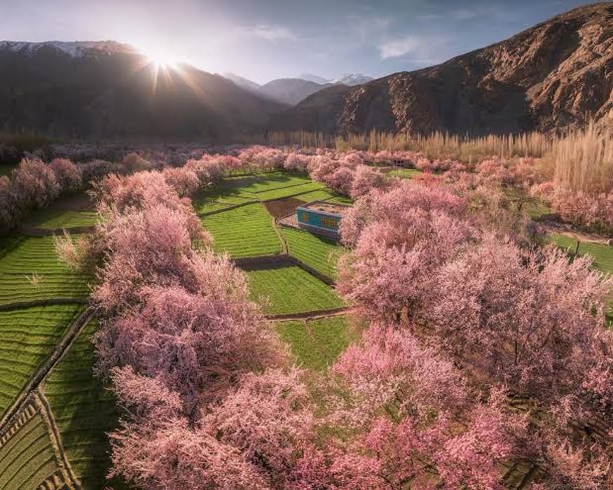 Skardu and Hunza Spring Blossom Tour