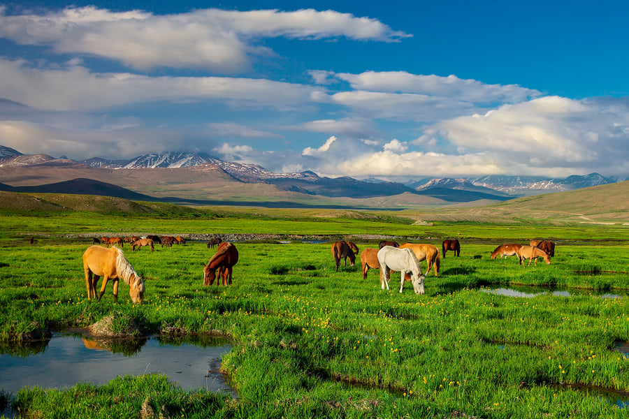 8-Day Escape by Air: Hunza, Naltar, Basho & Skardu