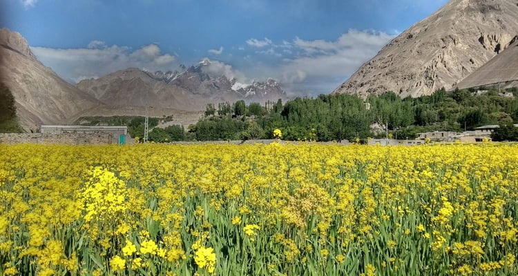 Brothers Beyond Borders: The Ismaili Way of Life