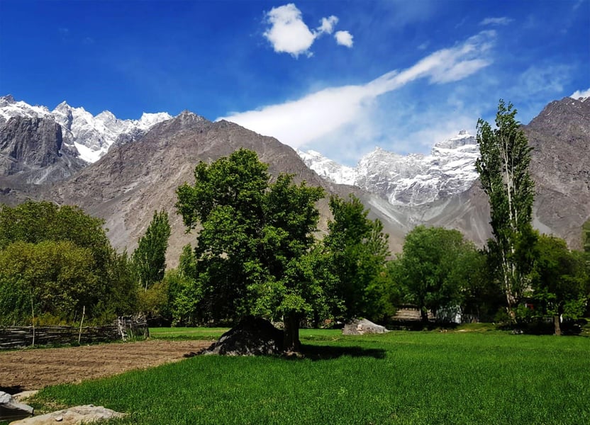 Discover Gilgit Baltistan in Spring Blossom Season