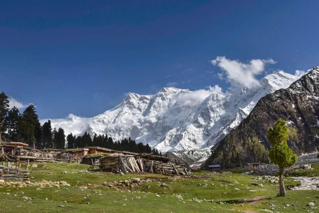 Nanga Parbat Base Camp Trek