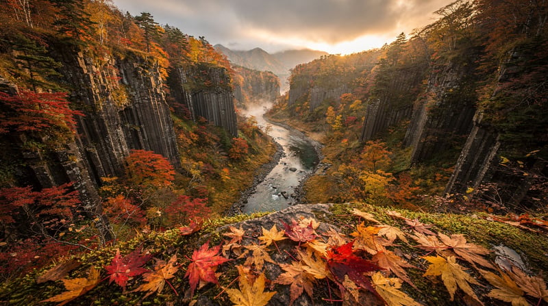Japan in Autumn: Where to See the Best Fall Foliage
