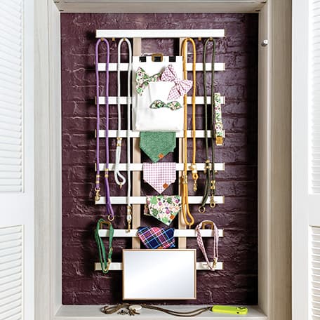 Wall organizer for jewelry with shelf hung in closet by California Closets